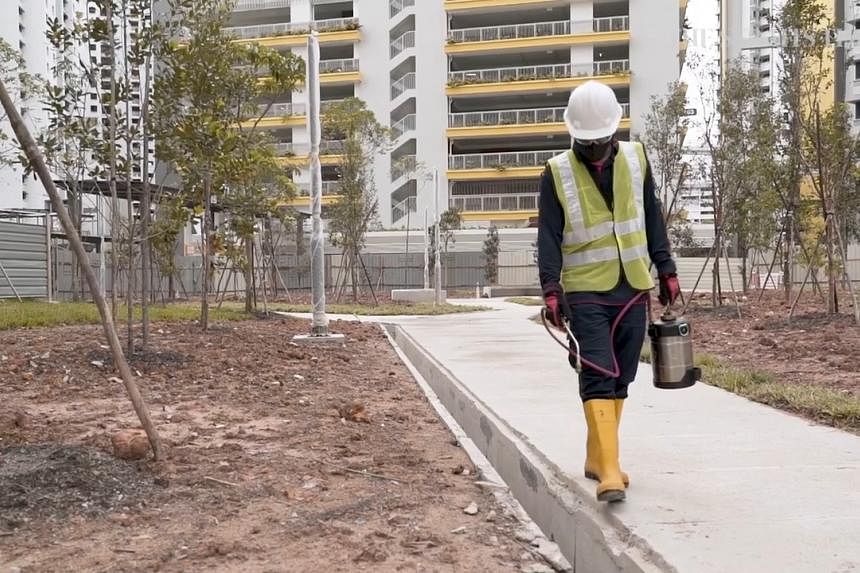 Kasus demam berdarah mingguan Singapura diperkirakan akan mencapai puncak baru, dapat melampaui 2.000 kasus