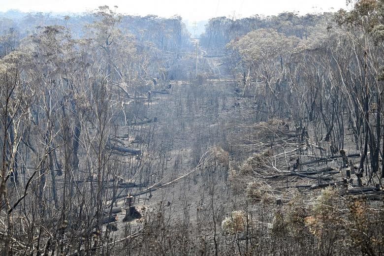 Cincin api: Negara bagian Australia mengumumkan keadaan darurat saat kebakaran hutan mendekati Sydney