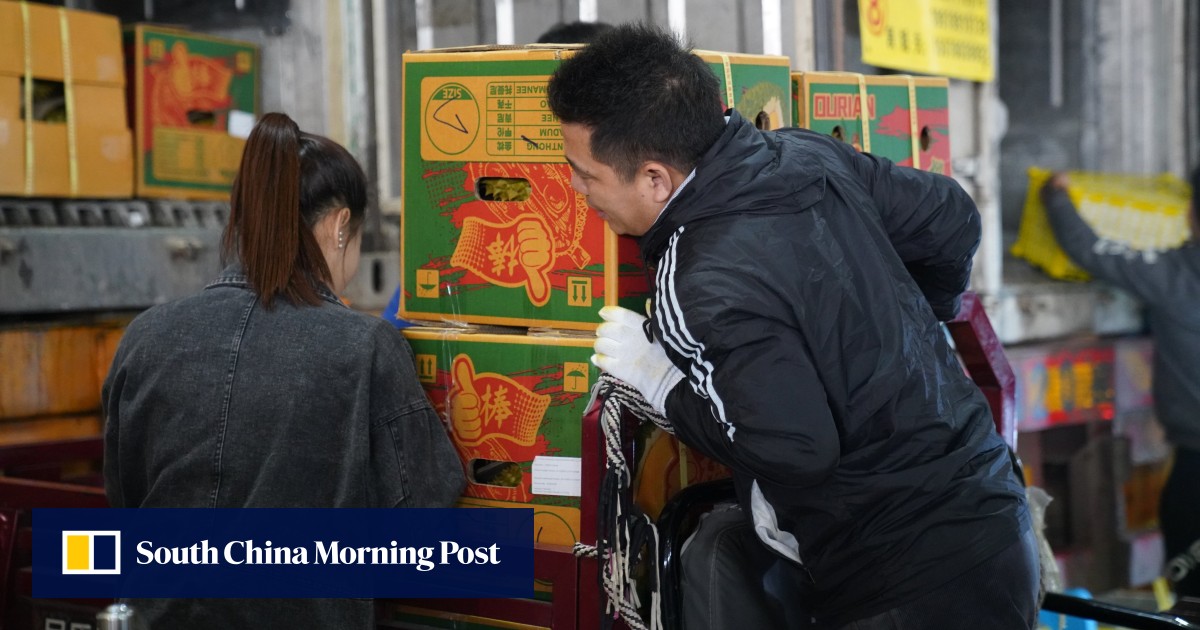 Produksi durian China menjadi empat kali lipat pada tahun 2024, pemrosesan siap meresap dengan permintaan ‘meningkat pesat’