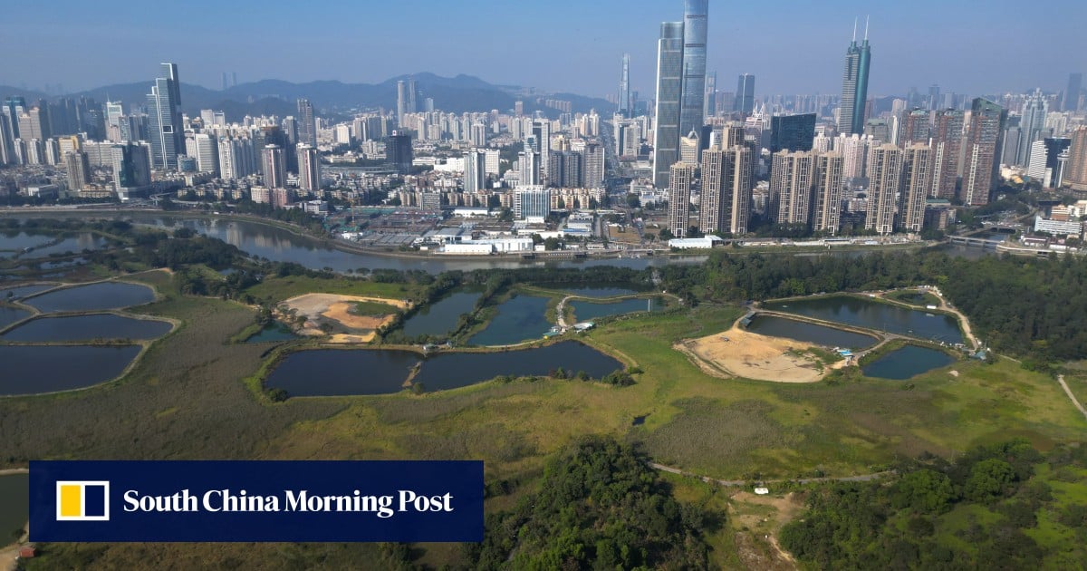 Universitas Hong Kong menyusun proposal untuk mendirikan kampus internasional di kota akademik baru kota dekat perbatasan dengan Shenhen