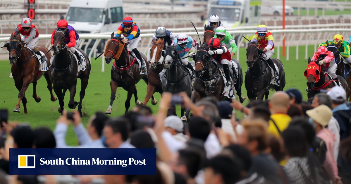 Surat | Hong Kong Jockey Club bisa turun dari kudanya yang tinggi dengan kepemilikan fraksional