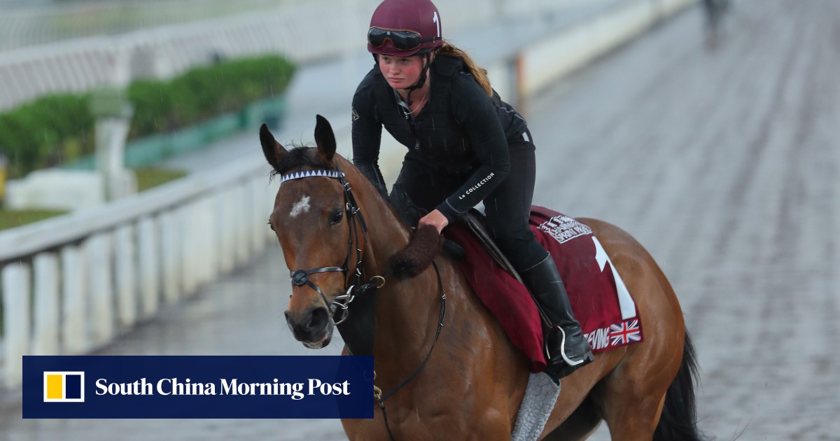 Harry Bentley bekerja sama dengan wajah yang dikenalnya untuk mengejar kejayaan Sprint Prie Ketua pada filly berbakat Percaya | HK Balap